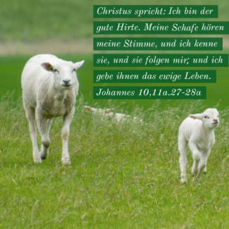 Wochenspruch Miserikordias Domini